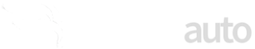 Baldinotti Auto Logo